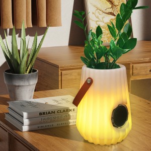 led lighted flower pot indoor/outdoor Creative Smart table Lamp for living room,bedroom,garden decoration, dimmable ice bucket led lights with bluetooth Speaker